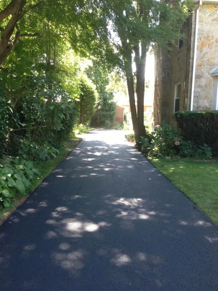 Freshly paved blacktop driveway lined with trees